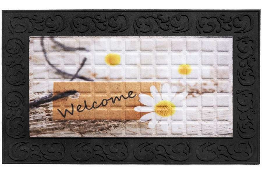 004 WELCOME DAISIES